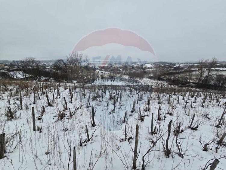 Teren intravilan 6850 mp Simnic, Izvor