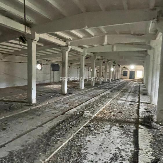 Complex industrial/Ferma de vânzare | Orțișoara, jud. Timiș - 30