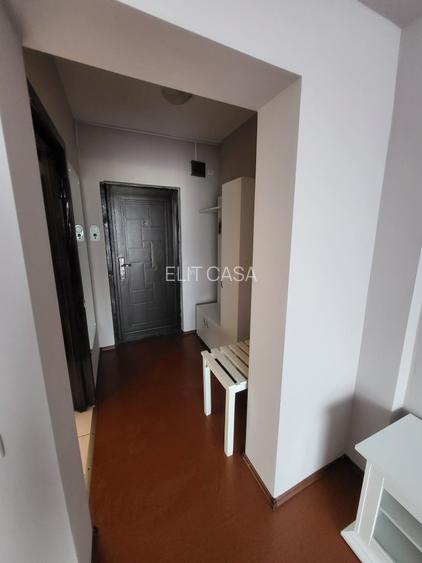 Apartament cu 2 camere, PET FRIENDLY, LOC PARCARE, zona Bucium - HOTEL PLEIADA - 16