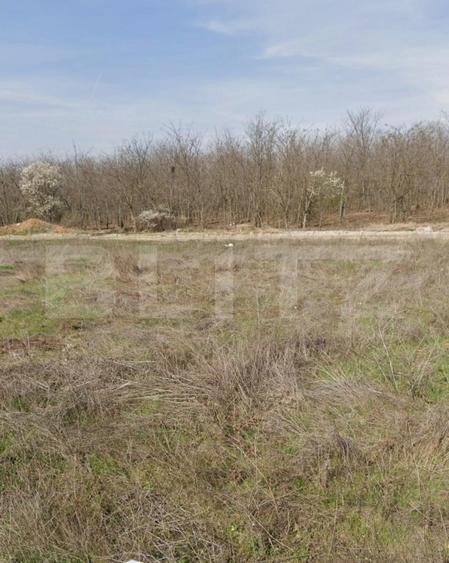 Teren intravilan, 1293 mp, zona Damila