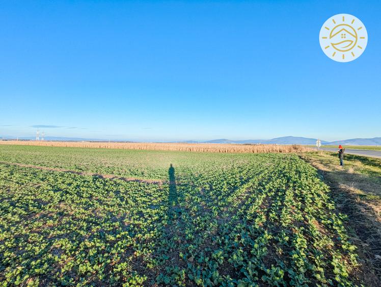 Teren intravilan 22800mp la 2km de Parcul Industrial Prejmer