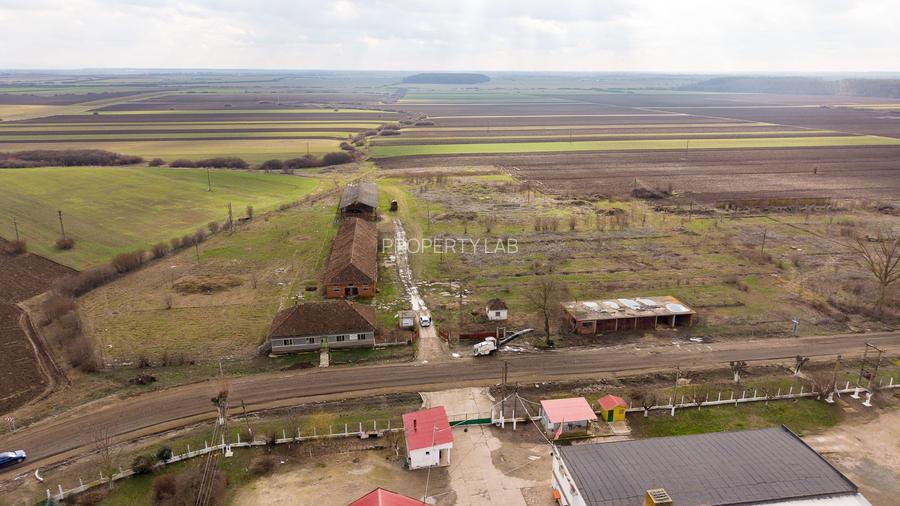 Fermă cu teren intravilan de 35000 mp în Mișca - 18