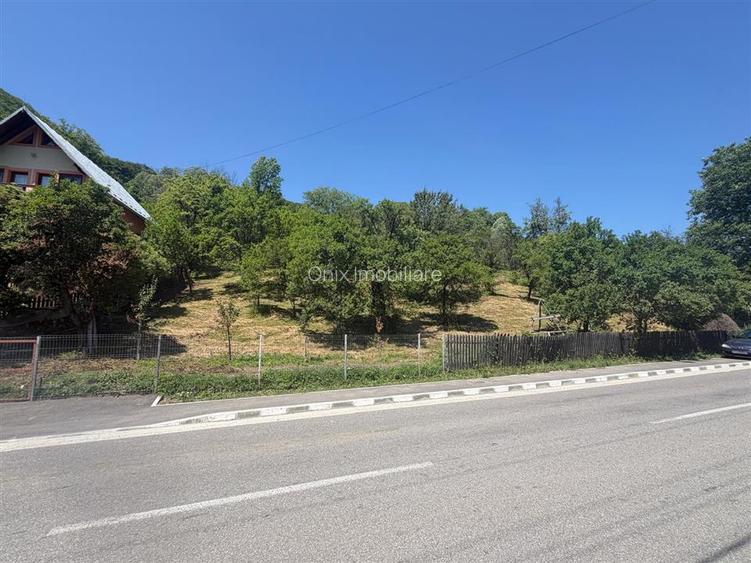 Teren Valea Doftanei, Tesila, utilitati la strada, padure in spate - 4