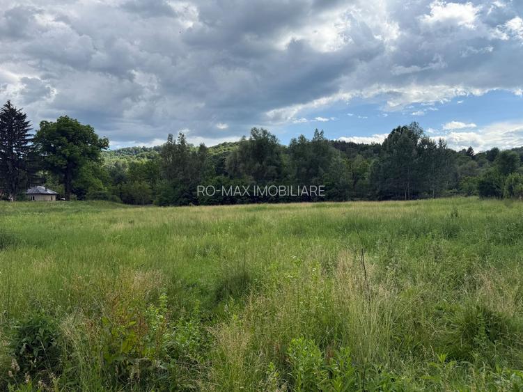 Teren plat-intravilan -3800 mp, cu pădurice și ieșire la râu! - 25