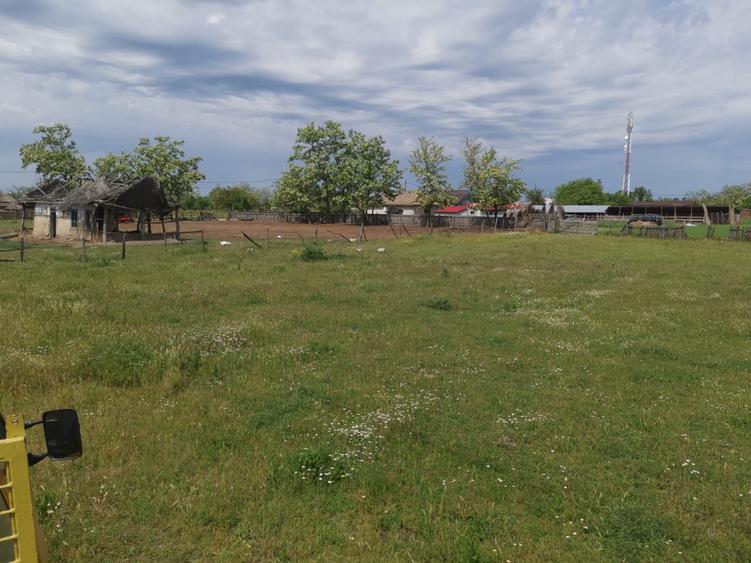 Teren Delta 2300 mp comuna C,A,ROSETI central langa Primarie