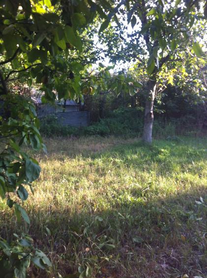Teren de vanzare la asfalt in Cervicesti