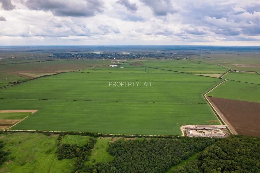Teren arabil de 1299 hectare în Iași - 2