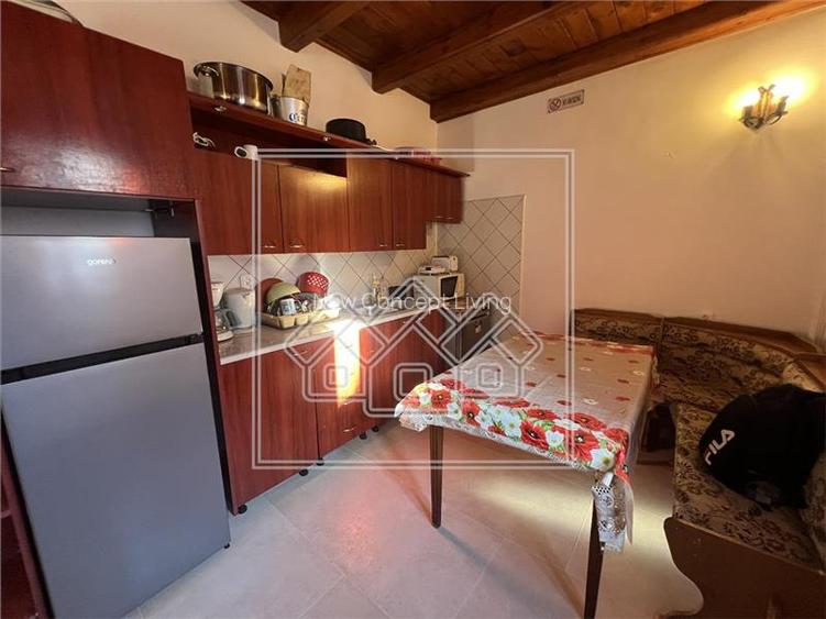 Vila mobilata si utilata - investitie turistica profitabila - Paltinis - 27