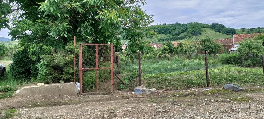 Casa de vânzare zona Cheile Nerei - jud. Caraș-Severin