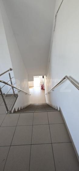 Hală producție/depozitare, de vanzare, 2600 mp, zona Bariera Vâlcii