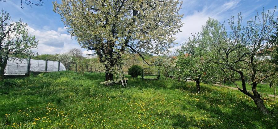Casa - 1500 mp de teren - zona rezidențială schit