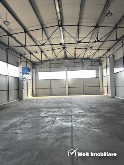 Hala depozitare sau productie743 mp, 145mp birouri, Someseni - Aeroport