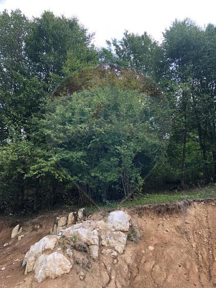 Teren intravilan 1,127mp Remeti / Strada Principala