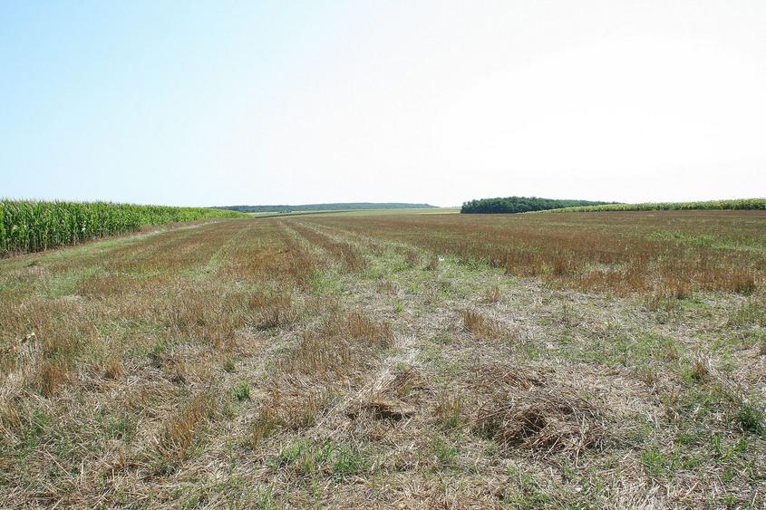 BELCIUGATELE - Complexul Valea Iazurilor, 19.720 mp. teren intravilan parcelabil