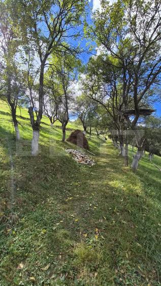 Casa 3 camere, 55 mp, teren 23.000 mp, zona pitoreasca-Poiana Marului