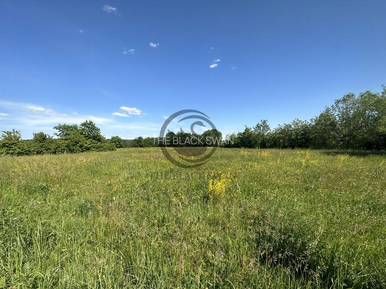 Teren intravilan de vanzare | 11.000 mp | Ghirdoveni | Comision 0% - 10