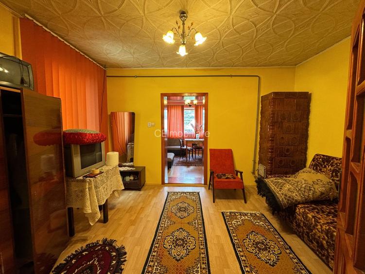 Casa in Lugoj pe Str. Fagetului - 13