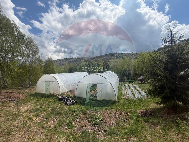 Casa de vânzare | Horea, Alba | Lux și Spațiu Generos - 38