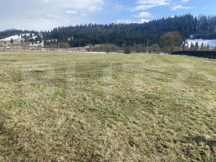 Teren intravilan de vanzare, 12.500 mp, zona Vatra Dornei, Podul Coșnei - 4