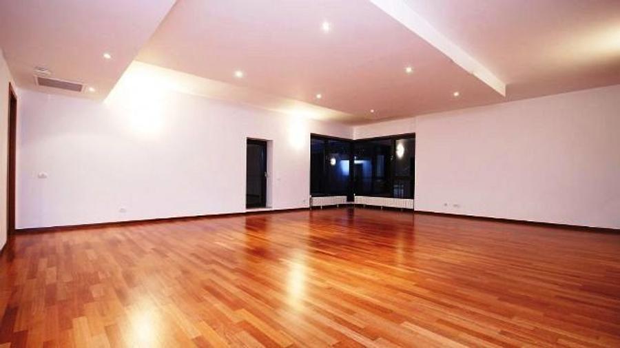 Apartament nemobilat Herastrau