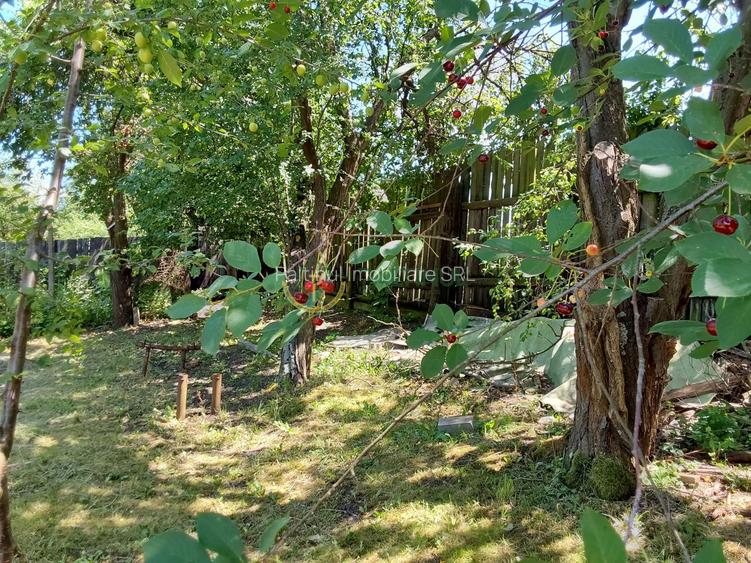 Casă și Teren Generos în Sibiu,  Armeni, Comuna Loamneș - 8