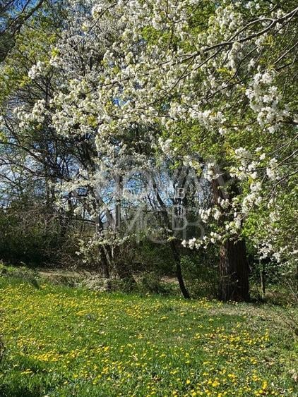 Casa individuala  - vedere spre padure - Parcul Sub Arini - 39