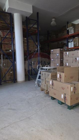 Complex multifunctional-Business & Logistic Campus-Spațiu industrial