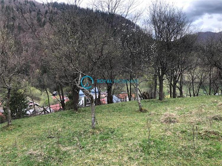 Royal Imobiliare-Vanzare Teren Zona Voineasa