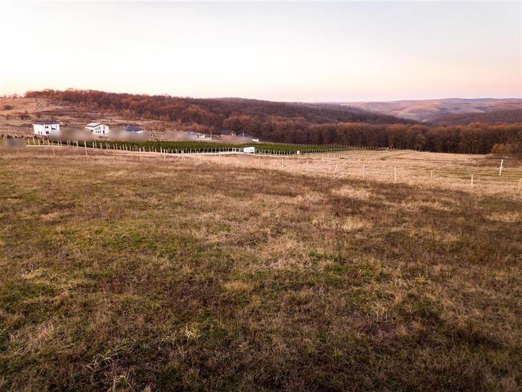 RECO Teren intravilan in Saldabagiu de Munte