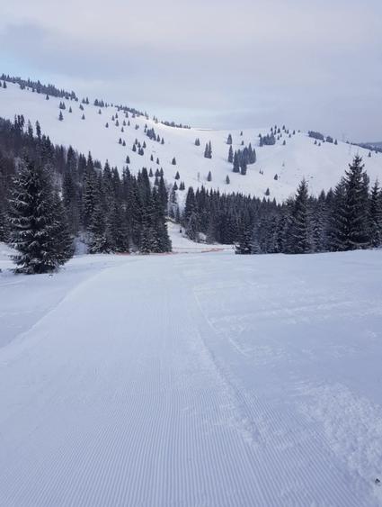 Domeniu schiabil-Partia Mestecanis, 28ha teren, zona Mestecanis