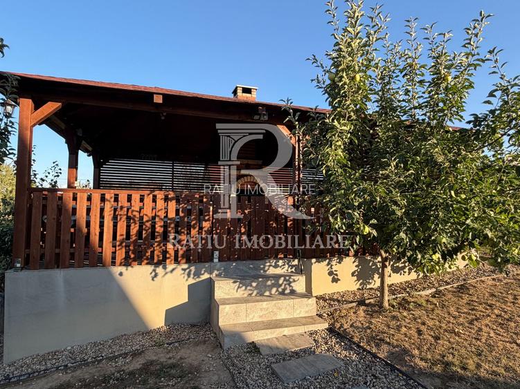 Proprietate premium | Casă și complex turistic la cheie | Cordău - 39