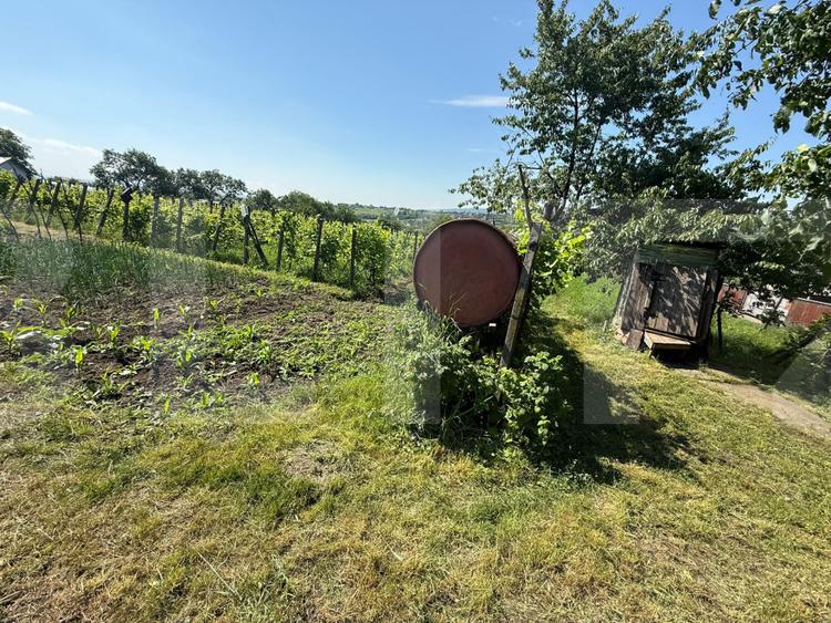 Casă bătrânească cu 2 fronturi stradale, 3095 mp teren, Flămânzi - Botoșani