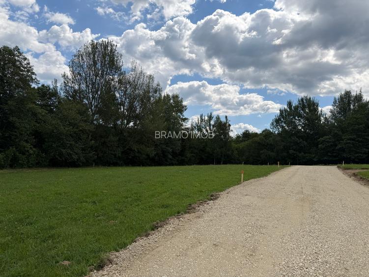 Teren intravilan  1000 mp zona Bran-Tohanita,langa padurela 10 km de Rasnov - 16
