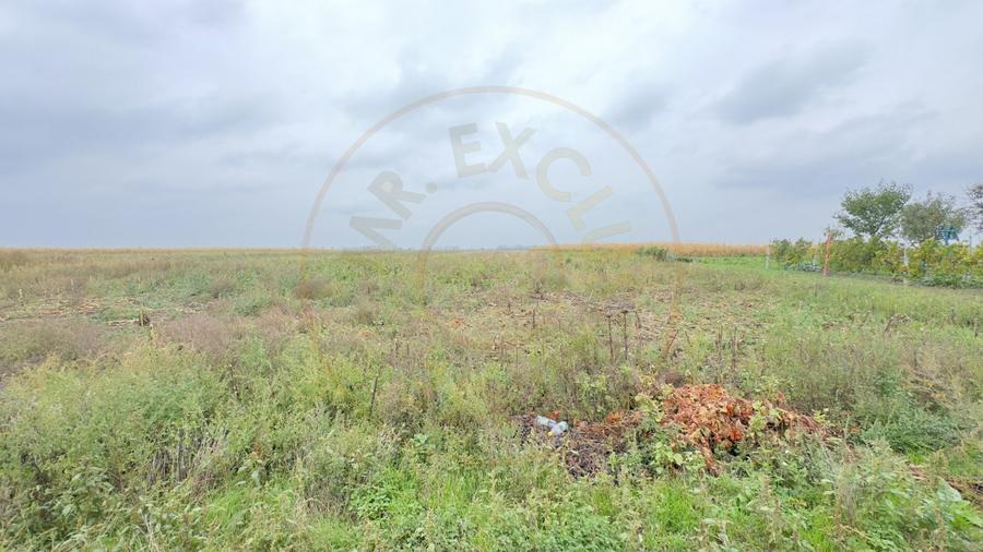 Casa 4 camere, Teren 3.405 mp Loc. Dindestiu Mic Jud. Satu Mare-Comision 0%