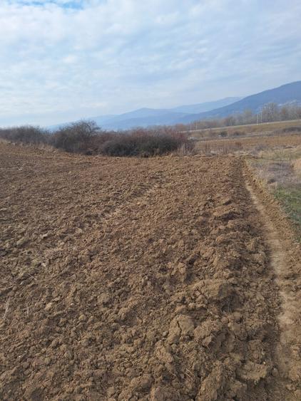 Teren extravilan de vanzare in suprafata de 15800 mp in Salistea, judet Alba
