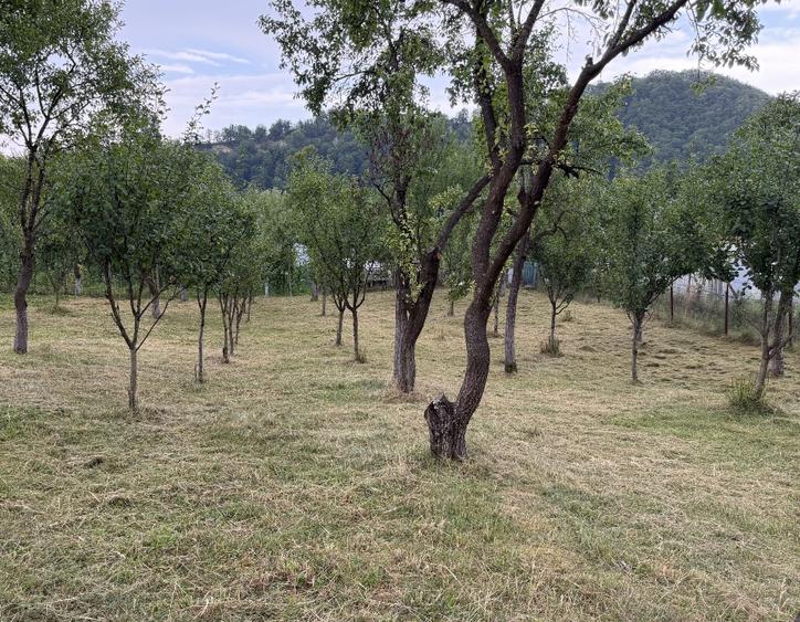 Teren 952 mp, Muereasca, la 15 min de centrul orasului Rm Valcea