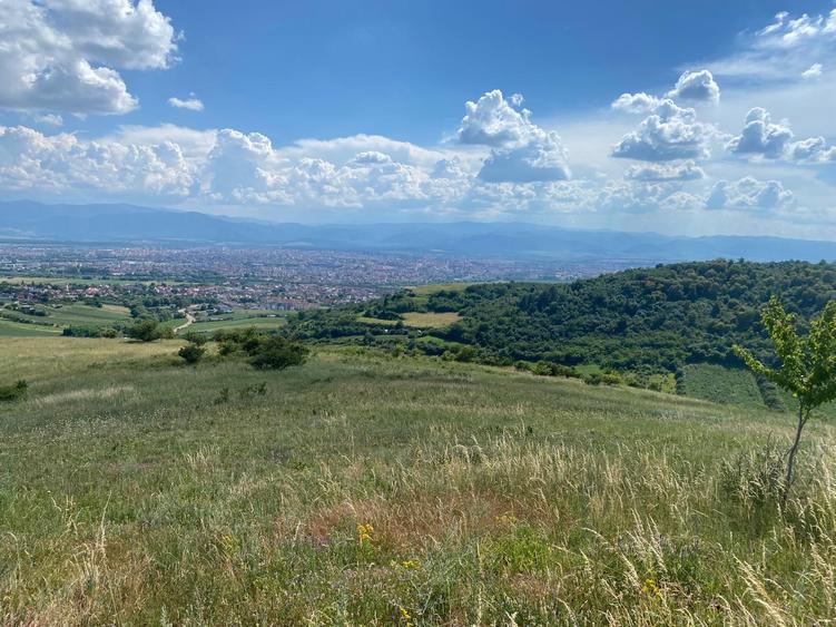 Teren Gusterita, posibilitate parcelare dupa preferinte