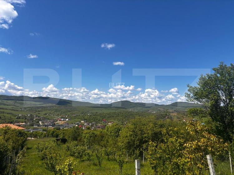 Teren extravilan de vanzare, 2500 mp, zona Valea Sigmirului - 2