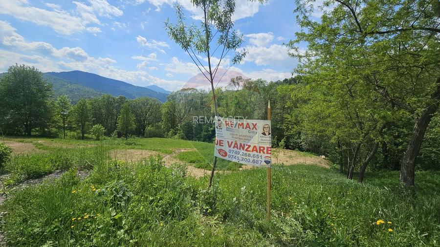 Teren de vanzare cu vedere la Ceahlău și Lacul Bicaz - 4