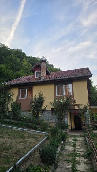 Proprietar, vând casă P+M, loc. Boș, jud. Hunedoara, 8km de Castelul Corvinilor