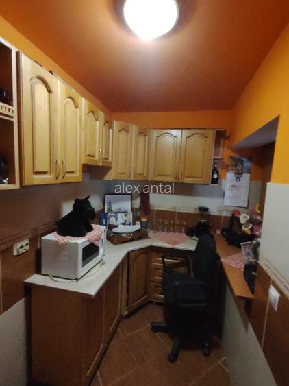 Vând casă 137mp și teren intravilan 5800mp în Supuru de Sus,jud.Satu Mare - 4