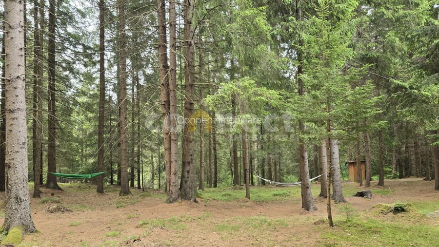 De vânzare casă de vacanță deosebită | Călățele Pădure – Dealul Negru, Cluj - 8
