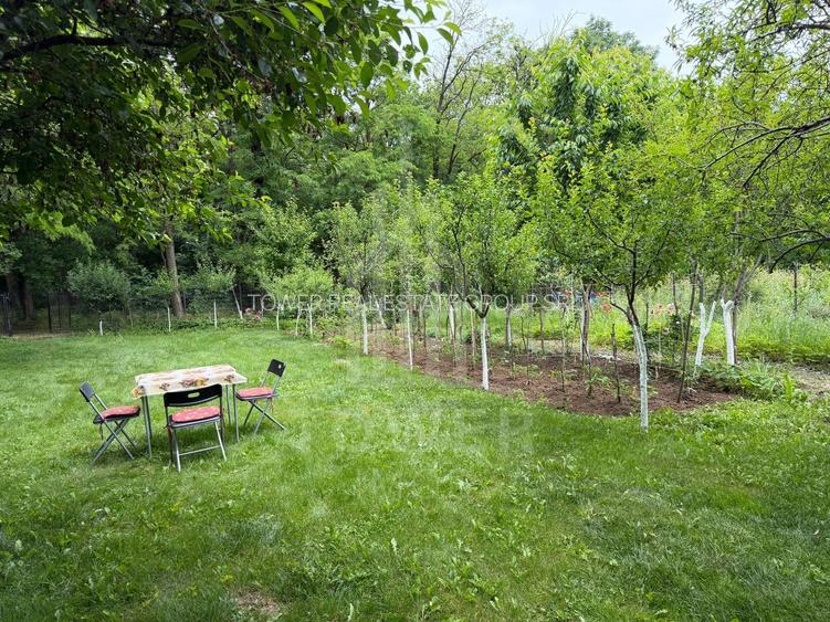 OCAZIE RARĂ - Teren cu cabană de vânzare lângă Lacurile Naturale - Ocna Sibiului - 6