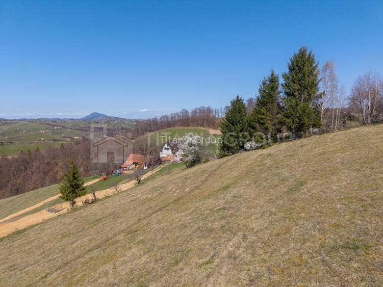 🌿 Teren Intravilan 3.791 mp | Priveliște Panoramică Superbă | Poiana Mărului - 21