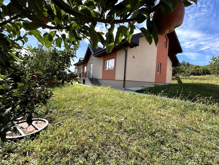 Casa de vanzare, parter 4 camere, garaj, 1424mp teren - Bucium- Vișani, IASI