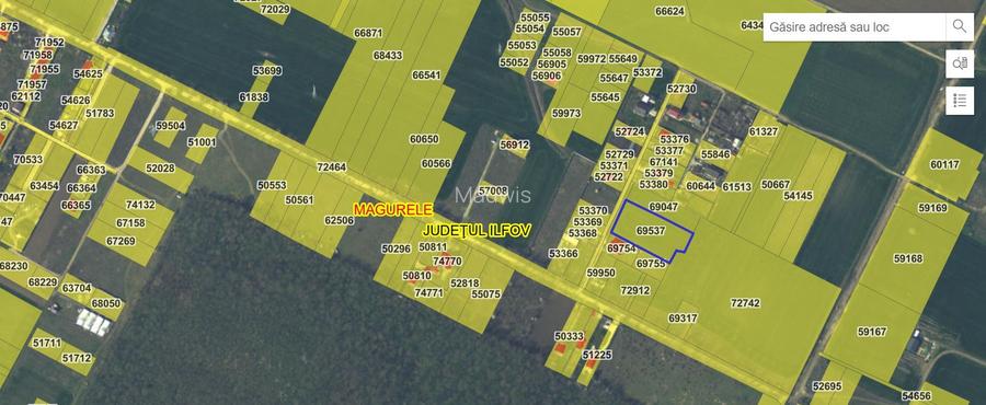 Vand teren cu suprafata de 26.000mp intravilan in Cornetu - Magurele - 8
