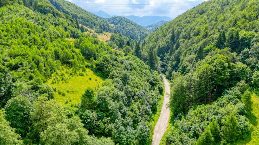 Investitie Smart in Moieciu, 3.1 ha, Panoramă 360 Bucegi - Piatra Craiului