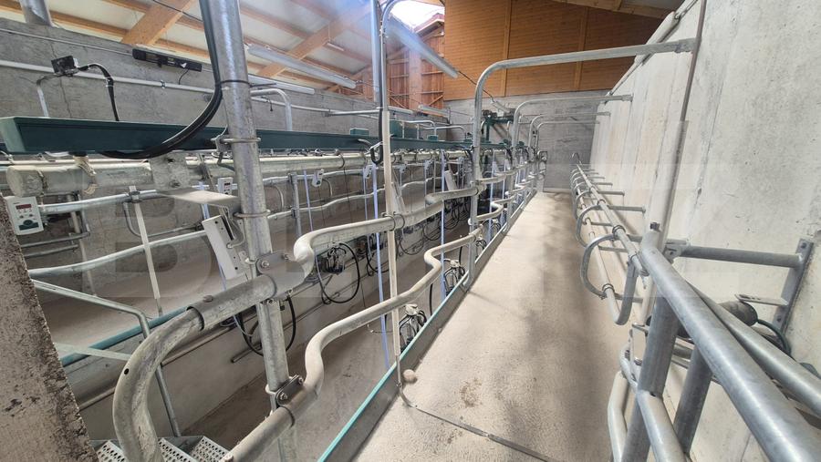 Ferma noua, moderna si complet utilata, de bovine de inchiriat, 1900 mp, Lazuri