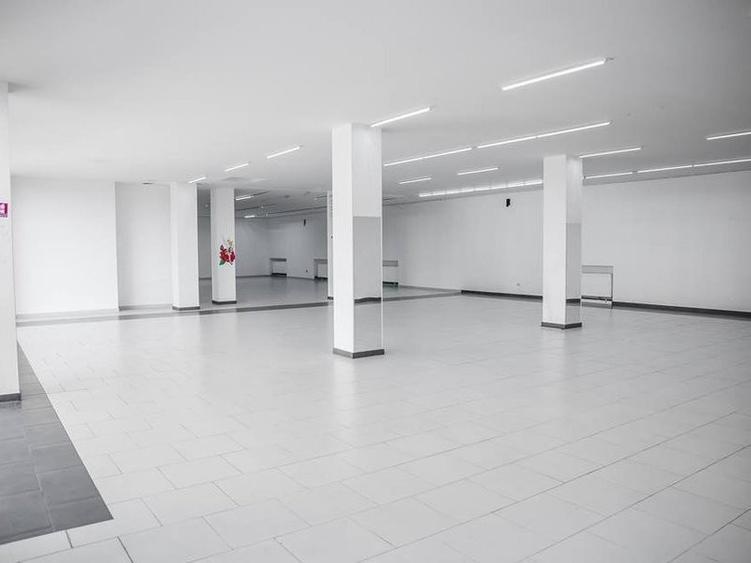 Delfinariu - bd. Mamaia, spatiu comercial , 325 mp.