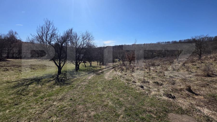 Teren de vanzare de 8,567MP in zona: Tarpiului
